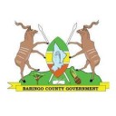 Promises Made (Baringo County Senator)