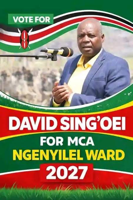 Portrait of David Singoei