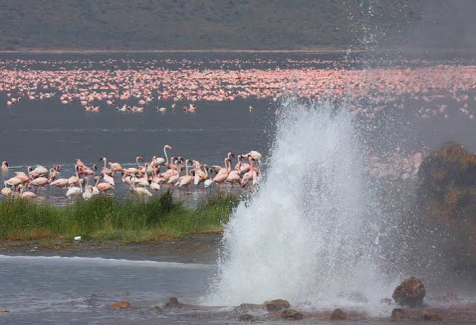 Baringo